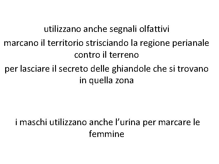 utilizzano anche segnali olfattivi marcano il territorio strisciando la regione perianale contro il terreno