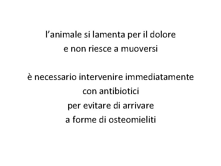 l’animale si lamenta per il dolore e non riesce a muoversi è necessario intervenire