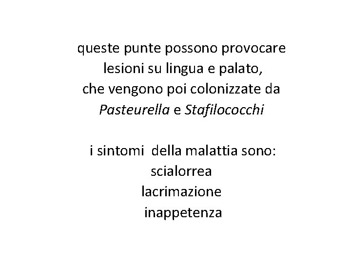 queste punte possono provocare lesioni su lingua e palato, che vengono poi colonizzate da