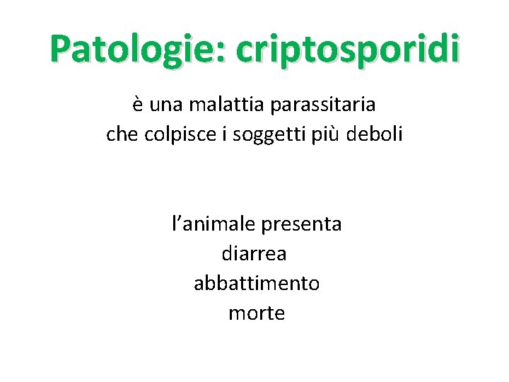 Patologie: criptosporidi è una malattia parassitaria che colpisce i soggetti più deboli l’animale presenta