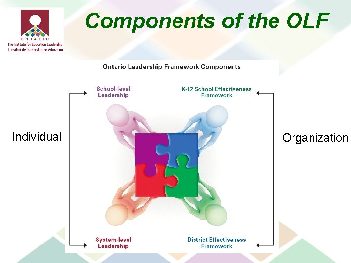 Components of the OLF Individual Organization 