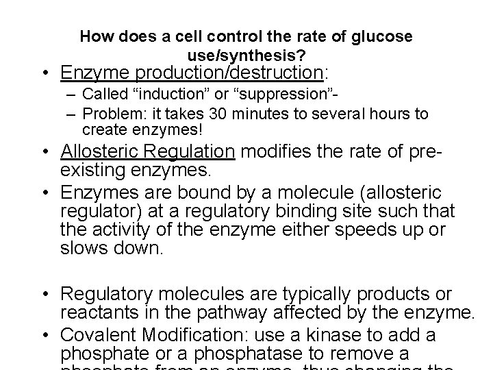 How does a cell control the rate of glucose use/synthesis? • Enzyme production/destruction: –