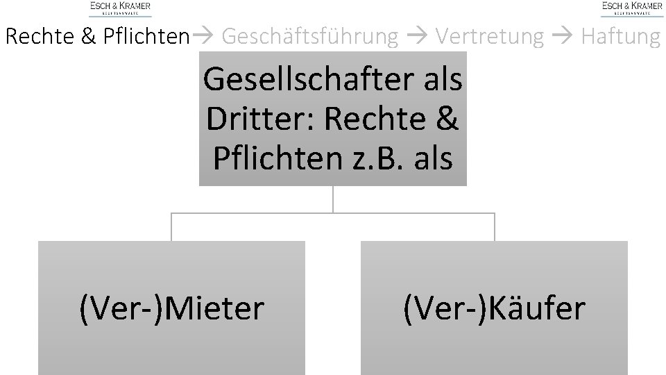 Rechte & Pflichten Geschäftsführung Vertretung Haftung Gesellschafter als Dritter: Rechte & Pflichten z. B.