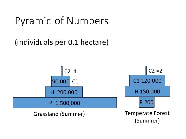 Pyramid of Numbers (individuals per 0. 1 hectare) C 2=1 C 2 =2 90,