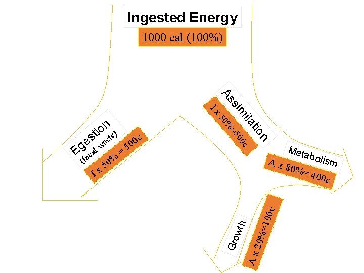 Ingested Energy 1000 cal (100%) 0 c n tio ila 0 =5 0% 5