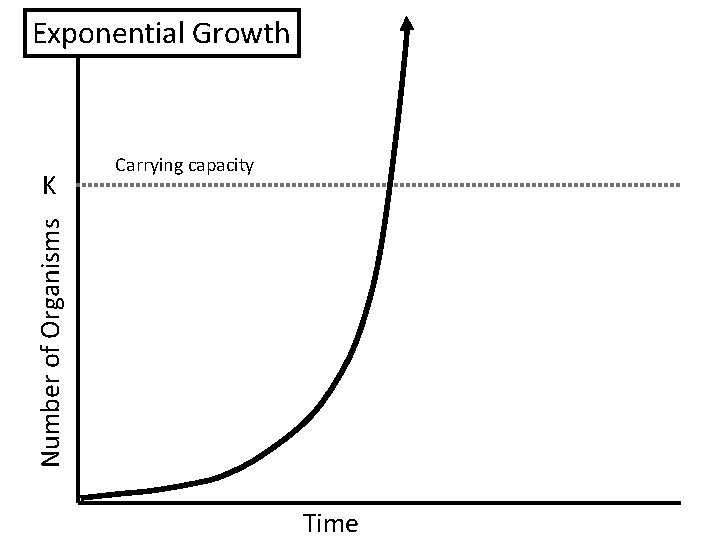 Exponential Growth Number of Organisms K Carrying capacity Time 