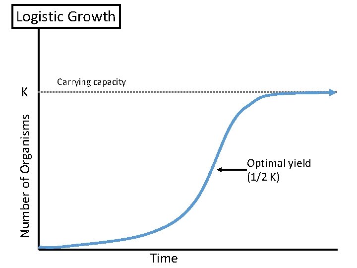Logistic Growth Number of Organisms K Carrying capacity Optimal yield (1/2 K) Time 