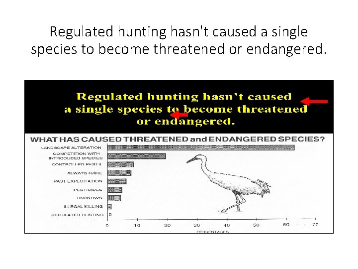 Regulated hunting hasn't caused a single species to become threatened or endangered. 