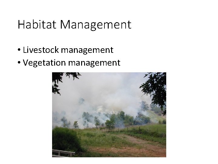 Habitat Management • Livestock management • Vegetation management 