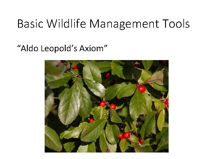 Basic Wildlife Management Tools “Aldo Leopold’s Axiom” 