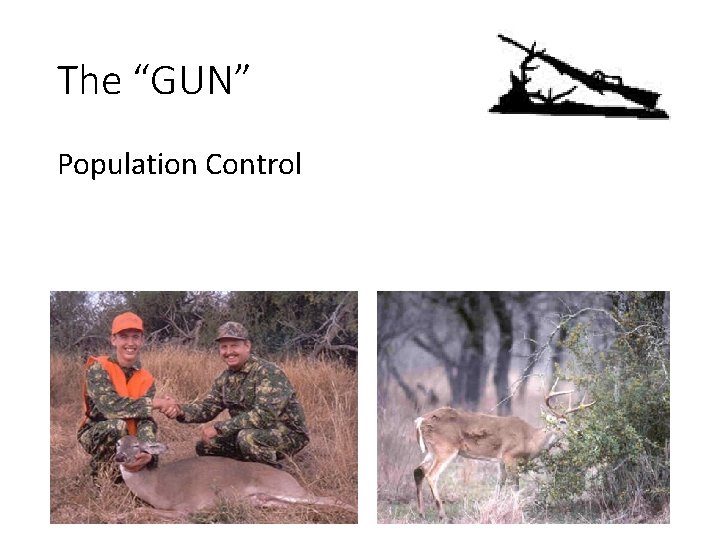 The “GUN” Population Control 