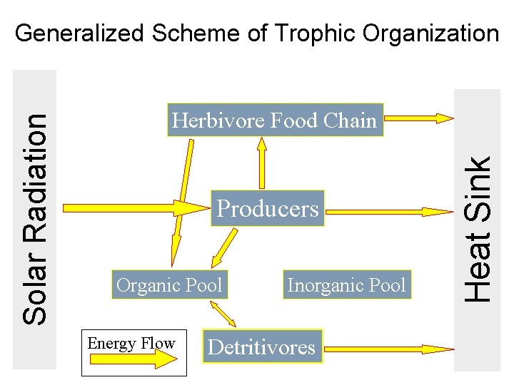 Herbivore Food Chain Producers Organic Pool Energy Flow Inorganic Pool Detritivores Heat Sink Solar