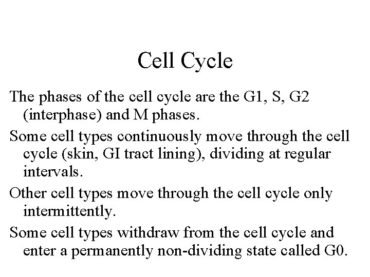 Cell Cycle The phases of the cell cycle are the G 1, S, G