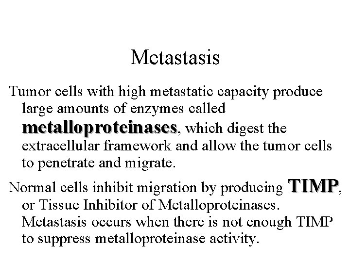 Metastasis Tumor cells with high metastatic capacity produce large amounts of enzymes called metalloproteinases,