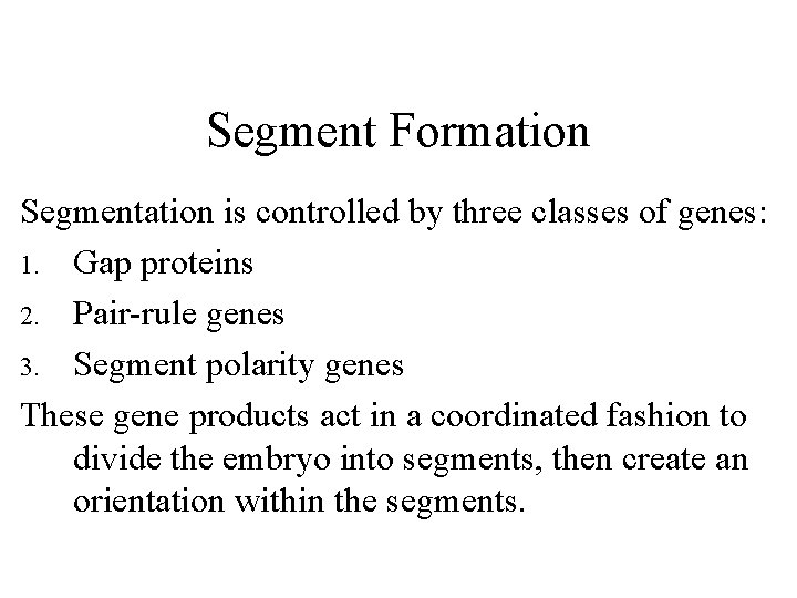 Segment Formation Segmentation is controlled by three classes of genes: 1. Gap proteins 2.