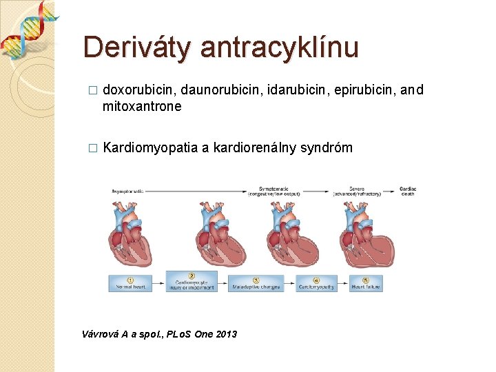 Deriváty antracyklínu � doxorubicin, daunorubicin, idarubicin, epirubicin, and mitoxantrone � Kardiomyopatia a kardiorenálny syndróm