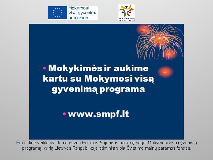 Projektinė veikla vykdoma gavus Europos Sąjungos paramą pagal Mokymosi visą gyvenimą programą, kurią Lietuvos