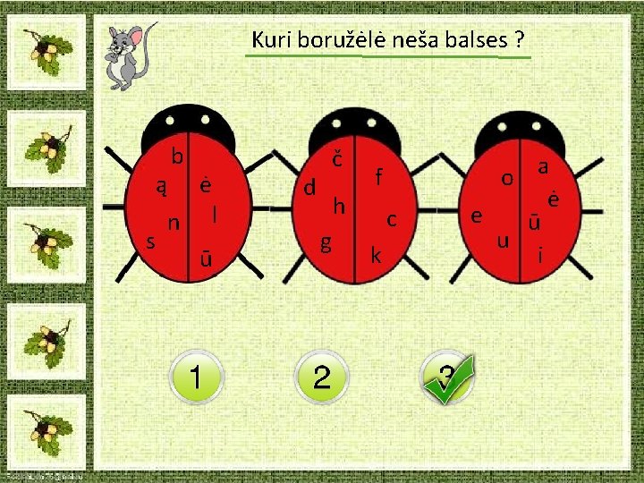 Kuri boružėlė neša balses ? b ą ė n l s ū č d Kuri boružėlė neša balses ? b ą ė n l s ū č d