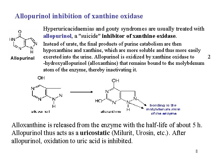 Allopurinol inhibition of xanthine oxidase Hyperuricacidaemias and gouty syndromes are usually treated with allopurinol,