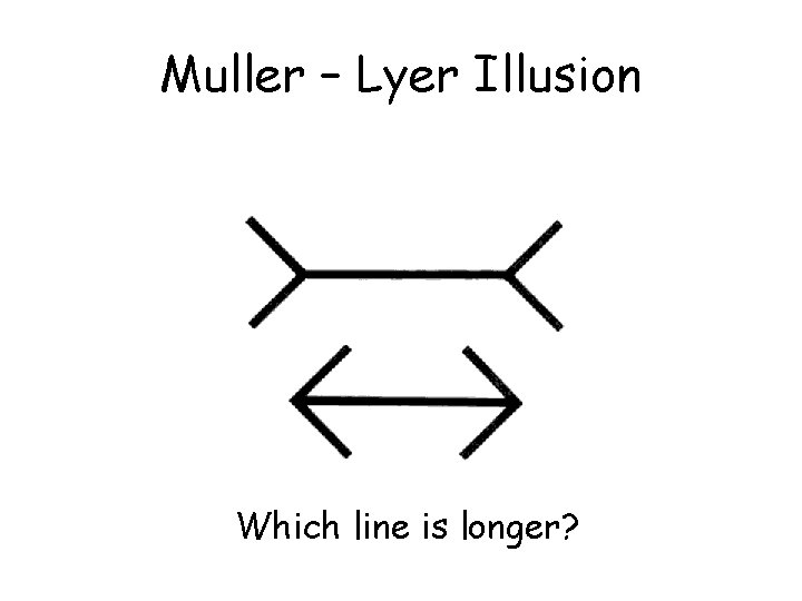 Muller – Lyer Illusion Which line is longer? 