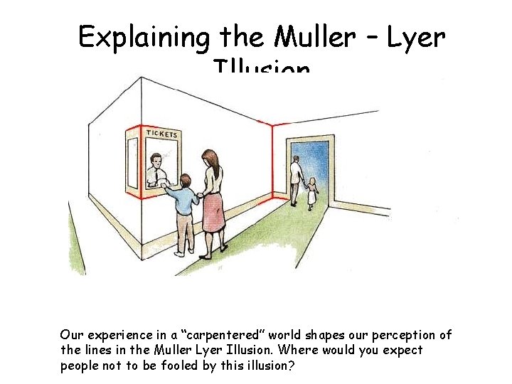 Explaining the Muller – Lyer Illusion Our experience in a “carpentered” world shapes our