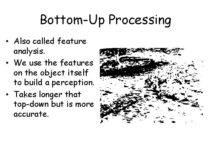 Bottom-Up Processing • Also called feature analysis. • We use the features on the