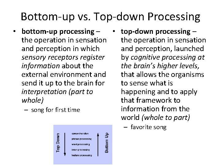 Bottom-up vs. Top-down Processing • bottom-up processing – • top-down processing – the operation