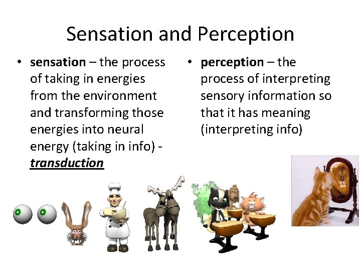 Sensation and Perception • sensation – the process of taking in energies from the