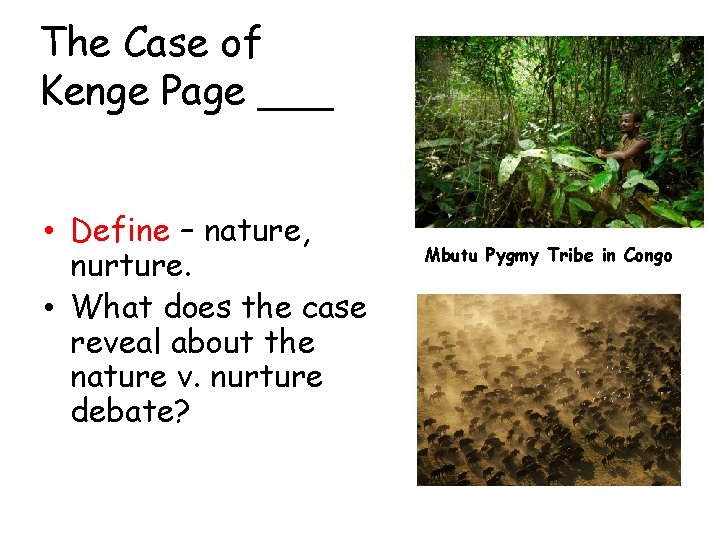 The Case of Kenge Page ___ • Define – nature, nurture. • What does