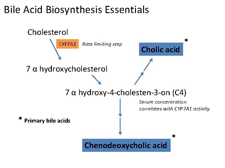 Bile Acid Biosynthesis Essentials Cholesterol CYP 7 A 1 Rate limiting step Cholic acid