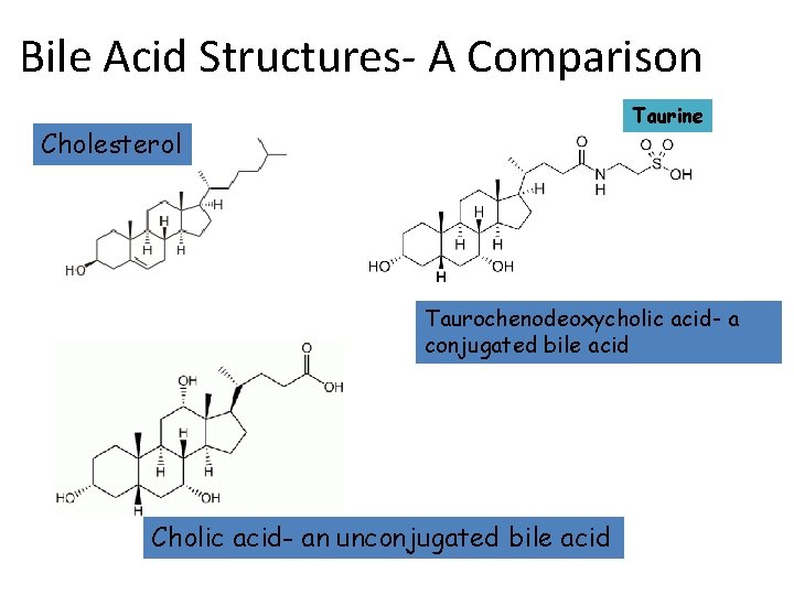 Bile Acid Structures- A Comparison Taurine Cholesterol Taurochenodeoxycholic acid- a conjugated bile acid Cholic