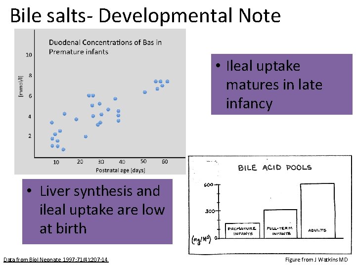 Bile salts- Developmental Note • Ileal uptake matures in late infancy • Liver synthesis