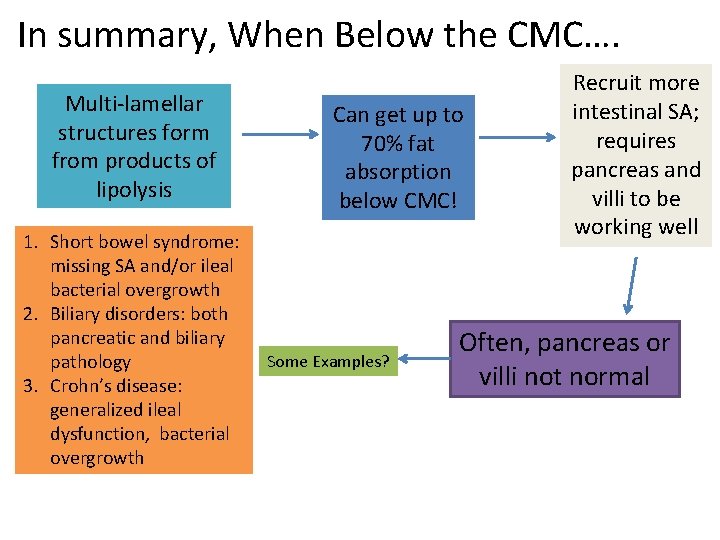 In summary, When Below the CMC…. Multi-lamellar structures form from products of lipolysis 1.