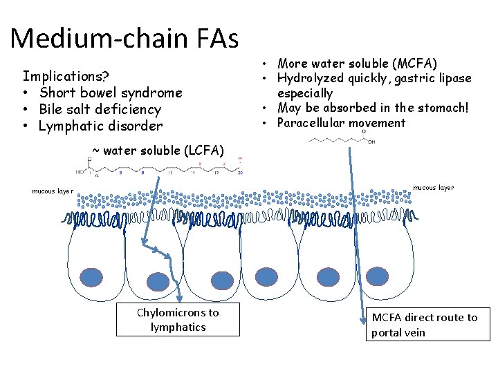 Medium-chain FAs Implications? • Short bowel syndrome • Bile salt deficiency • Lymphatic disorder