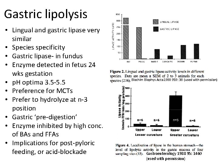 Gastric lipolysis • Lingual and gastric lipase very similar • Species specificity • Gastric