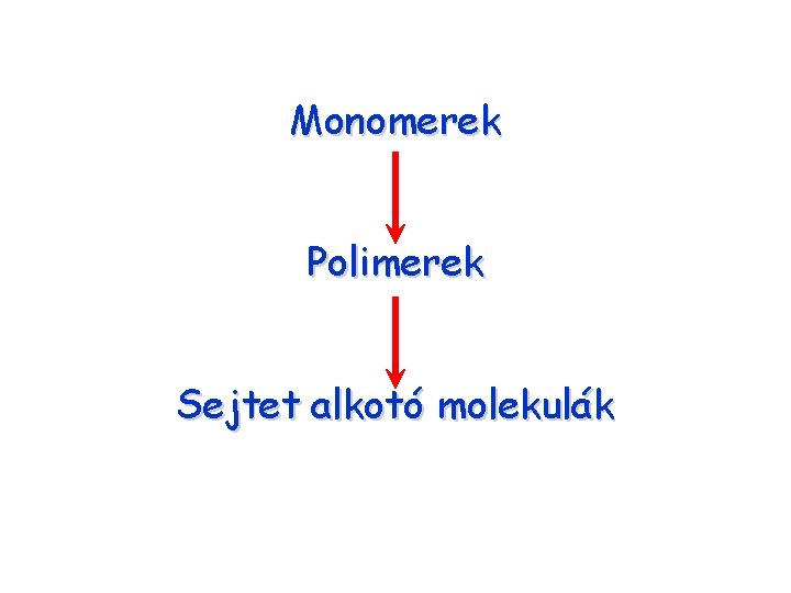 Monomerek Polimerek Sejtet alkotó molekulák 