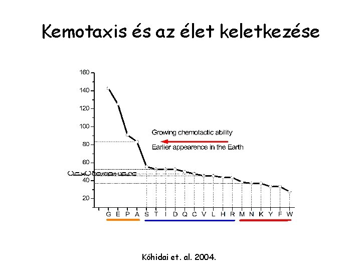 Kemotaxis és az élet keletkezése Kőhidai et. al. 2004. 