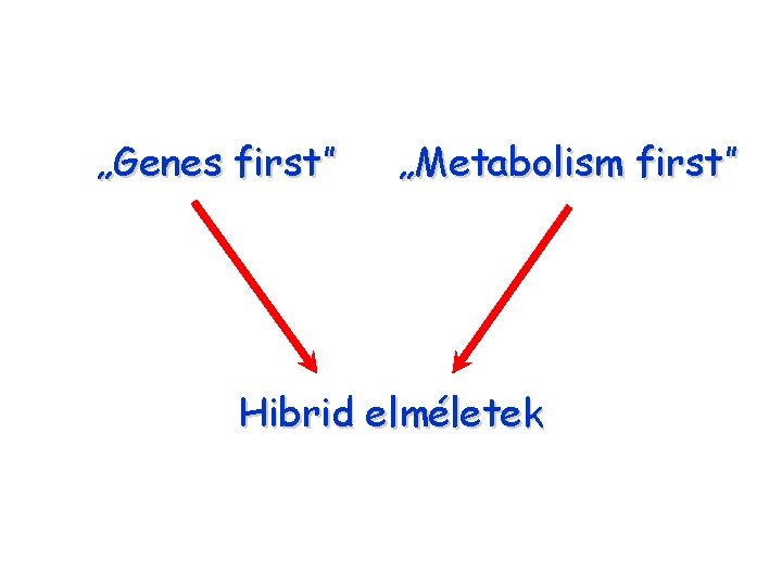 „Genes first” „Metabolism first” Hibrid elméletek 