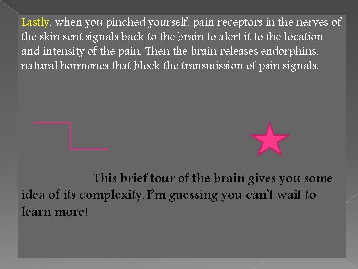 Lastly, when you pinched yourself, pain receptors in the nerves of the skin sent