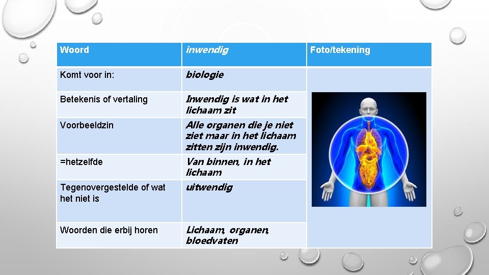 Woord inwendig Komt voor in: biologie Betekenis of vertaling Inwendig is wat in het