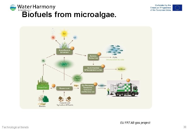 Biofuels from microalgae. EU FP 7 All-gas project Technological trends 38 