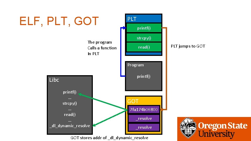 ELF, PLT, GOT The program Calls a function In PLT printf() strcpy() read() Program