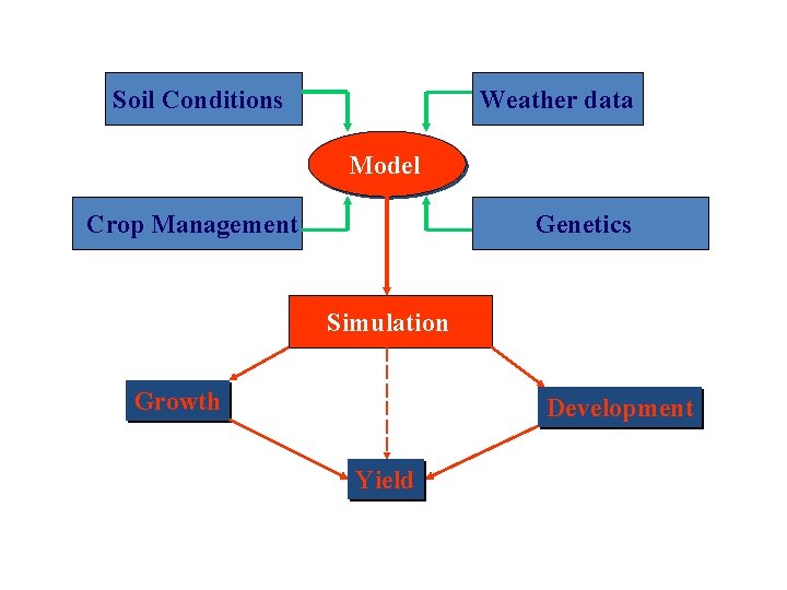 Soil Conditions Weather data Model Crop Management Genetics Simulation Growth Development Yield 