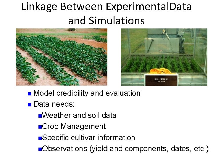 Linkage Between Experimental. Data and Simulations n Model credibility and evaluation n Data needs: