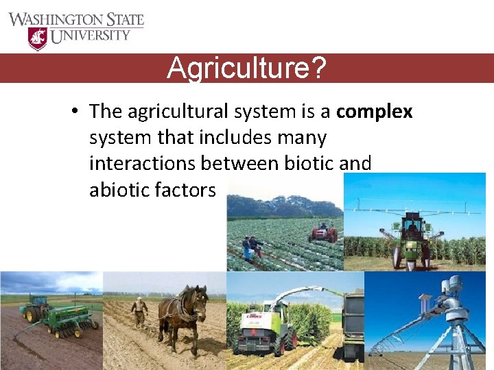 Agriculture? • The agricultural system is a complex system that includes many interactions between