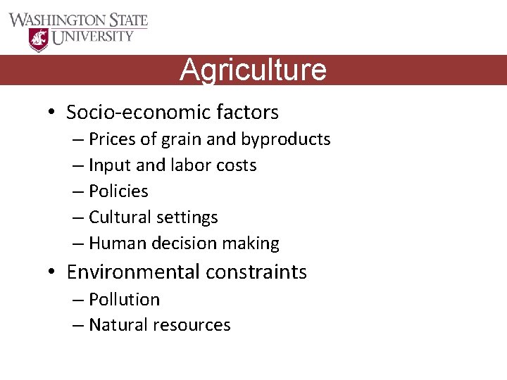 Agriculture • Socio-economic factors – Prices of grain and byproducts – Input and labor