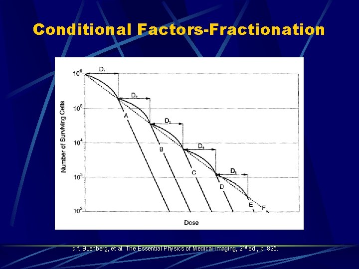 Conditional Factors-Fractionation c. f. Bushberg, et al. The Essential Physics of Medical Imaging, 2