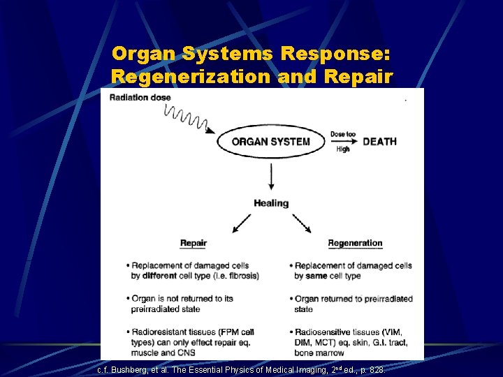Organ Systems Response: Regenerization and Repair c. f. Bushberg, et al. The Essential Physics