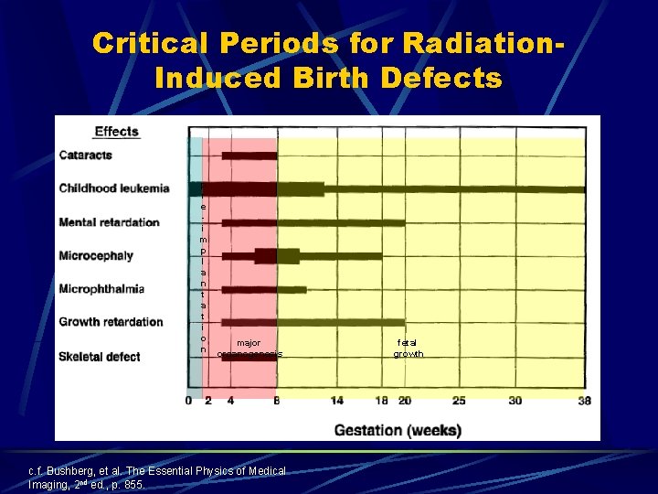 Critical Periods for Radiation. Induced Birth Defects p r e i m p l