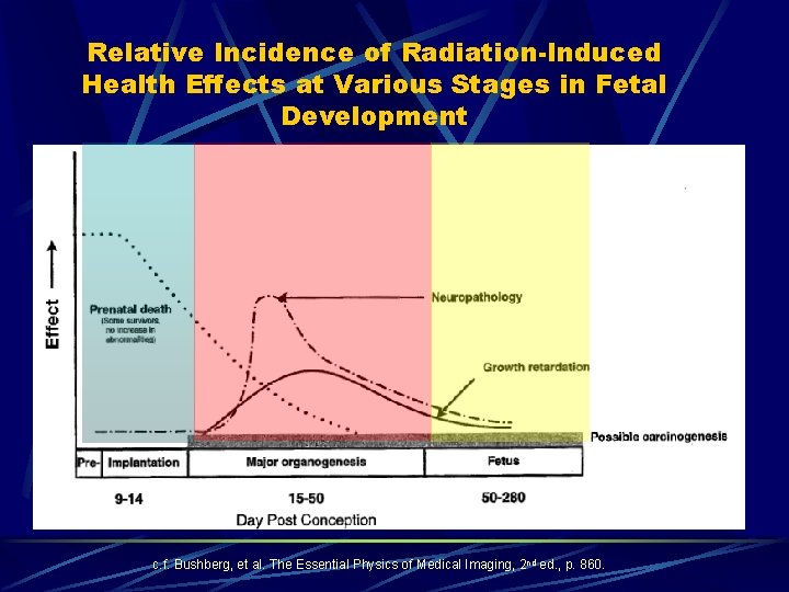Relative Incidence of Radiation-Induced Health Effects at Various Stages in Fetal Development c. f.